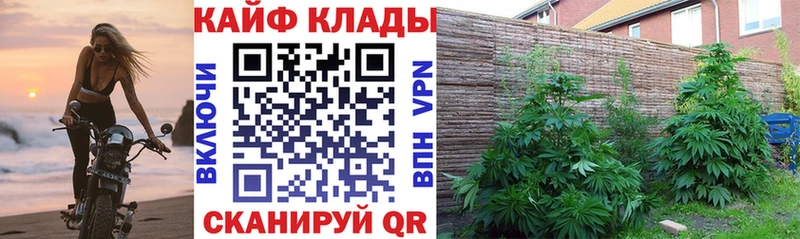 Купить наркотики Братск Конопля Псилоцибиновые грибы COCAIN ГАШ МЕФ СК