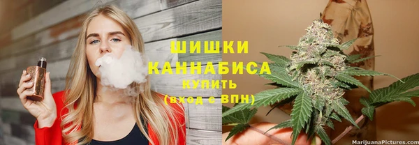 дмт Няндома