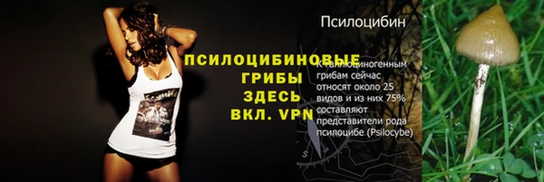 дмт Няндома