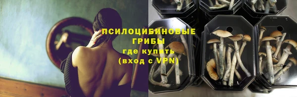 хмурый Нягань