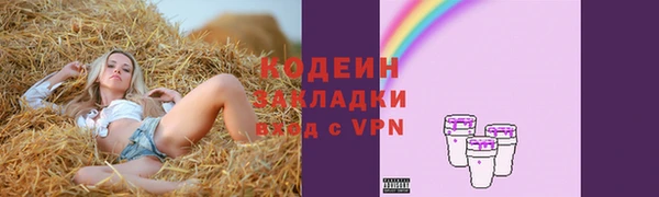 хмурый Нягань