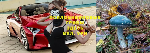 дмт Няндома
