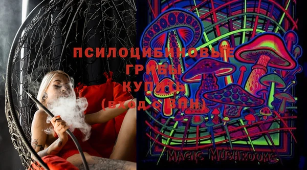 хмурый Нягань