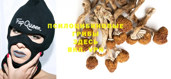 дмт Няндома