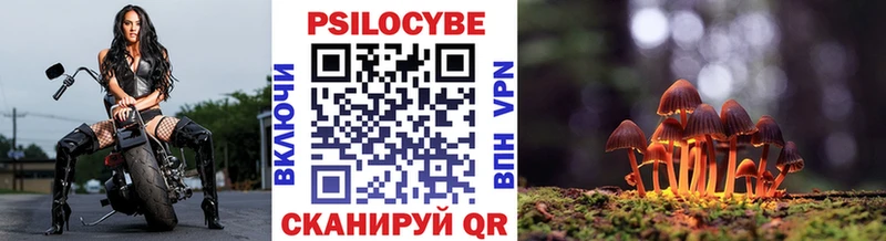 Псилоцибиновые грибы Psilocybine cubensis  сколько стоит  Братск 