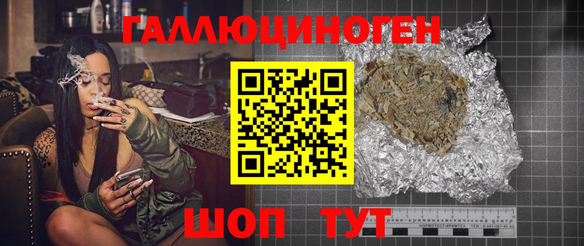 Псилоцибиновые грибы Psilocybe Братск