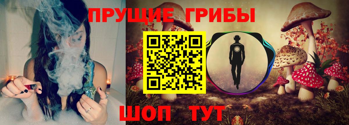 Псилоцибиновые грибы Magic Shrooms  Вход с VPN  где купить наркоту  Галлюциногенные грибы GOLDEN TEACHER  Братск 
